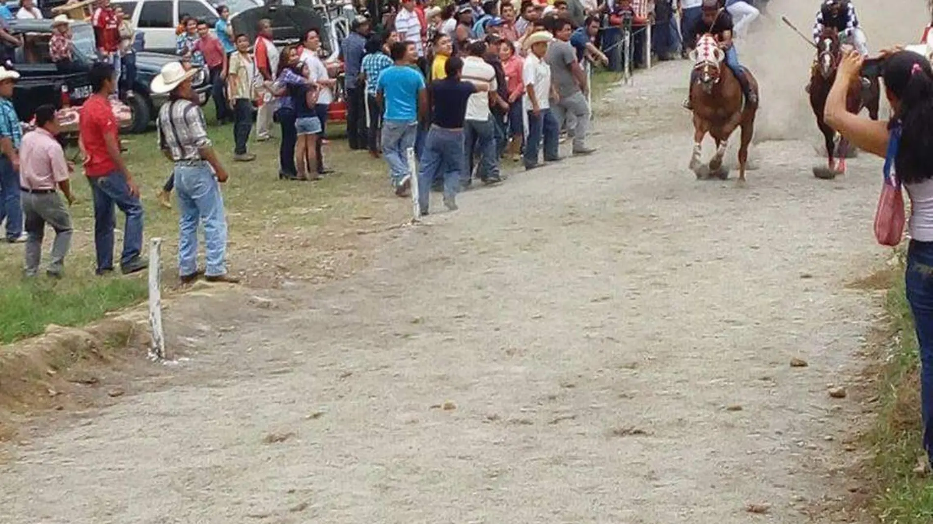 Carrera caballos